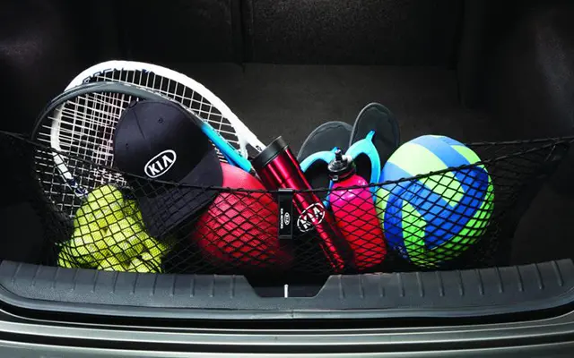 Kia Cargo Net D5f17ah000 1
