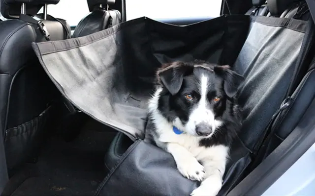 Kia Pet Seat Protector - All Kia Models Ampetseatpro 1