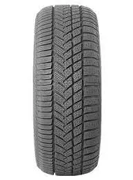 2353519 Autogreen Winter-Max A1-Wl5 91V ( Winter) 1