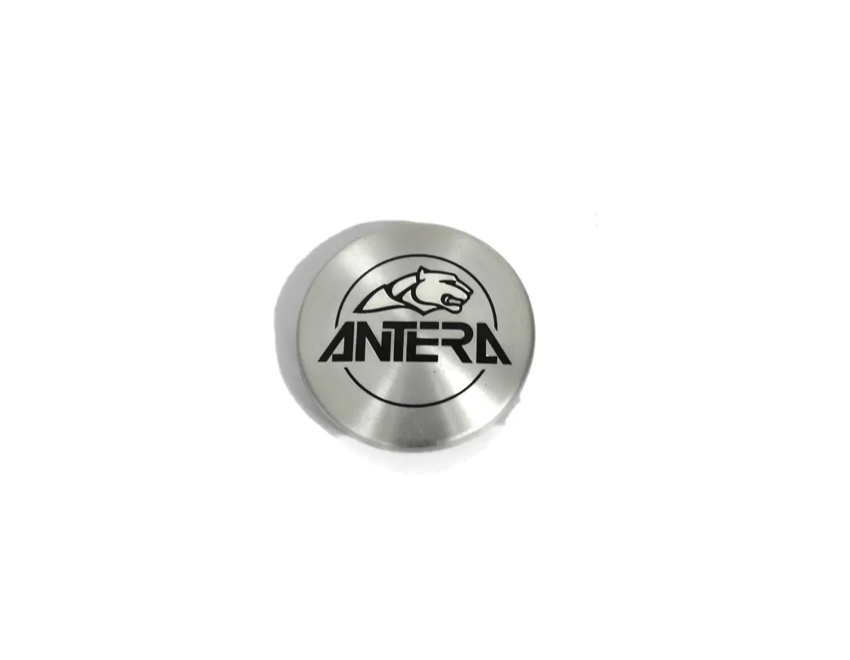 Antera Wheel Center Cap 191055001 Used 1