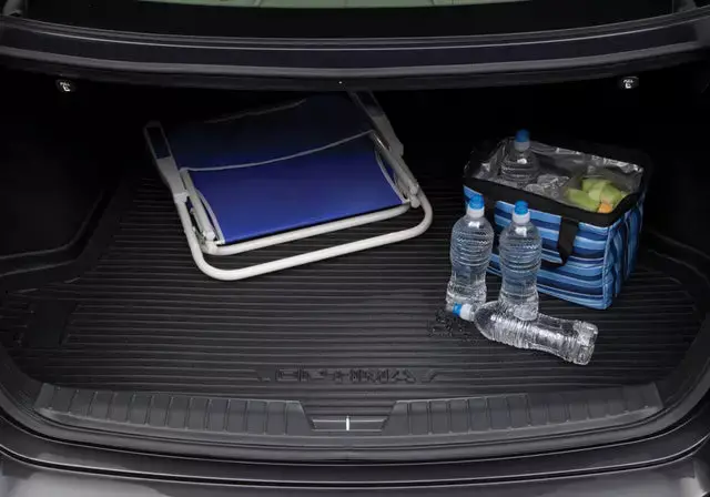 Kia Cargo Liner - 2015-2018 K900 9999768Dh03 1
